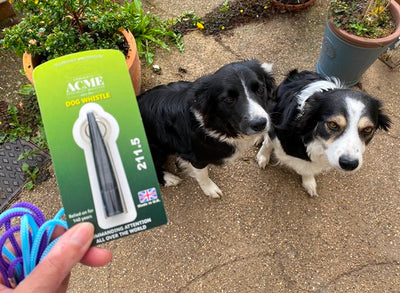 Why are dog whistles the ideal dog recall tool?