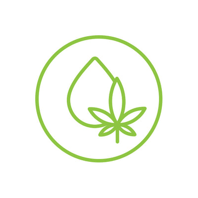 Hemp Seed Oil