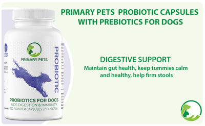 Probiotics for Dogs with Prebiotics | 120 Powder Capsules