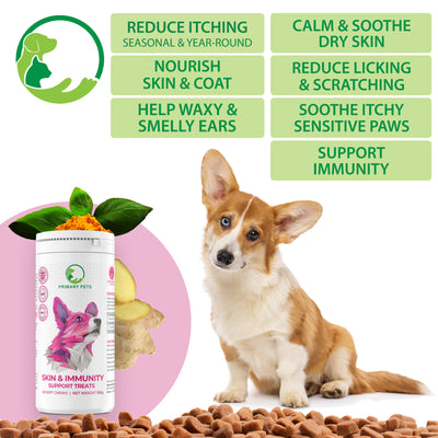 Anti-Itch & Allergy Relief Soft Chews for Dogs