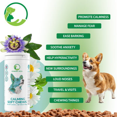 Calming Soft Chews for Dogs