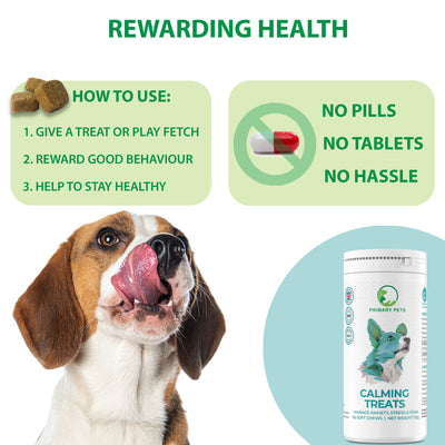Calming Soft Chews for Dogs |  60 Chews