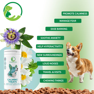Calming Soft Chews for Dogs |  60 Chews