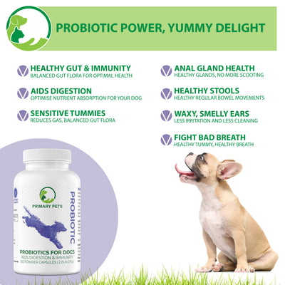Probiotics for Dogs with Prebiotics | 120 Powder Capsules