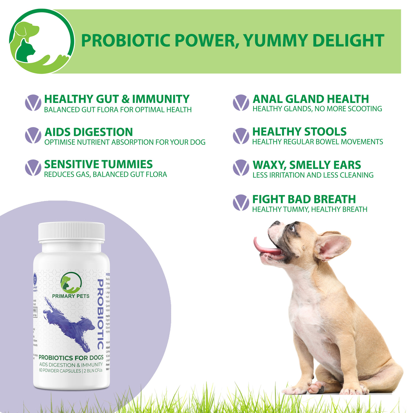 Probiotics for Dogs with Prebiotics | 60 Powder Capsules