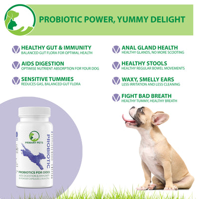 Probiotics for Dogs with Prebiotics | 60 Powder Capsules