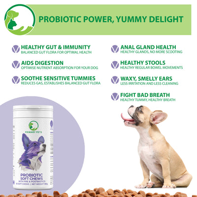 Probiotic Soft Chews for Dogs
