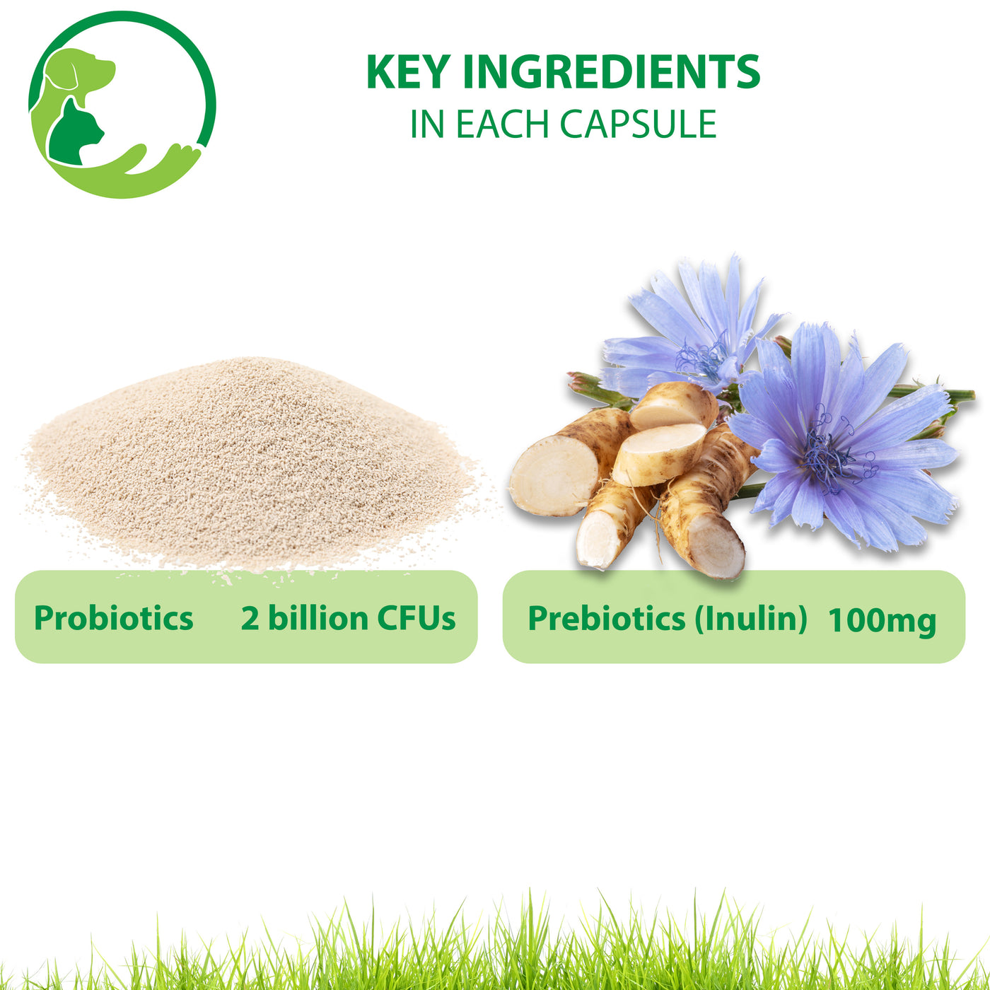 Probiotics for Dogs with Prebiotics | 60 Powder Capsules