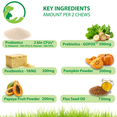 Probiotic Soft Chews for Dogs