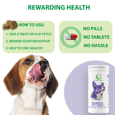 Probiotic Soft Chews for Dogs