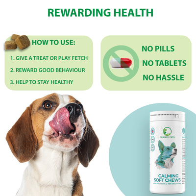 Calming Soft Chews for Dogs