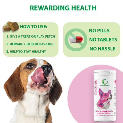 Anti-Itch & Allergy Relief Soft Chews for Dogs