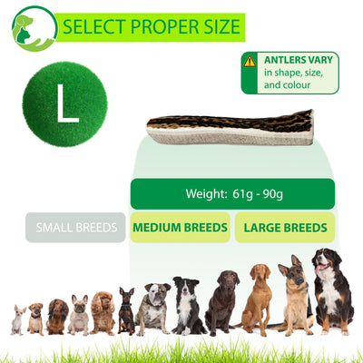 SPLIT Antlers for Dogs