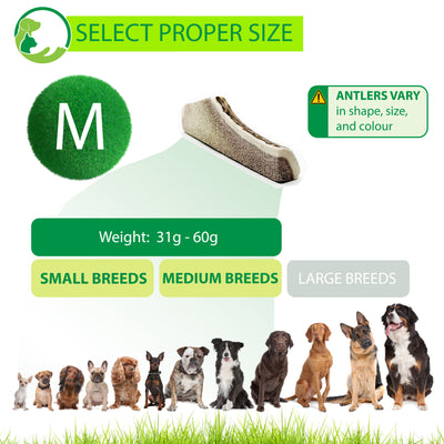 SPLIT Antlers for Dogs