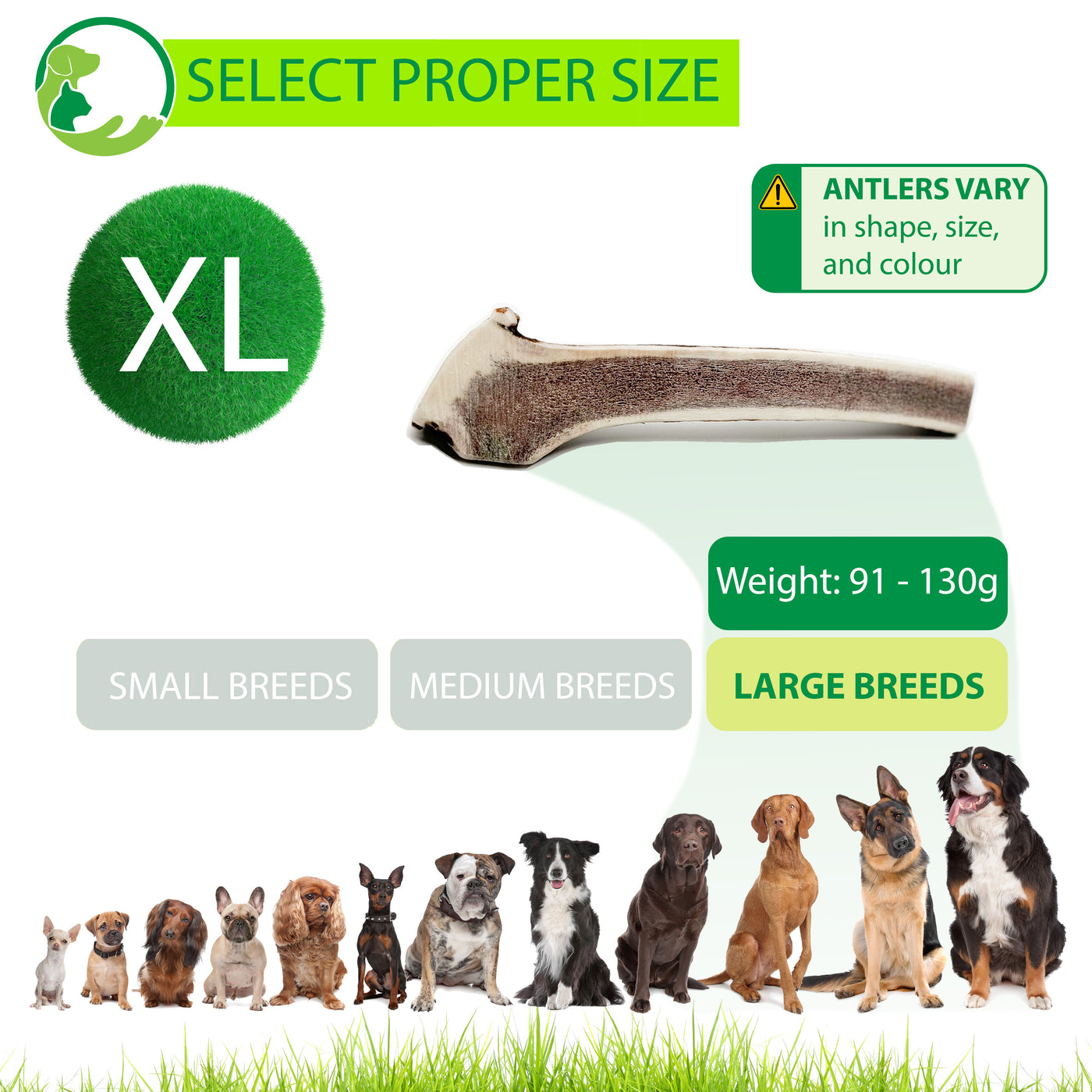 SPLIT Antlers for Dogs