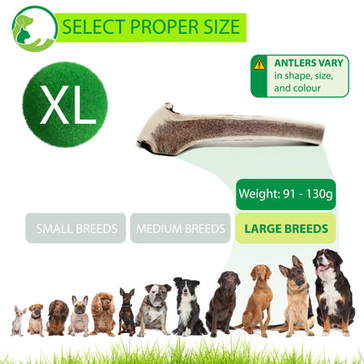 SPLIT Antlers for Dogs