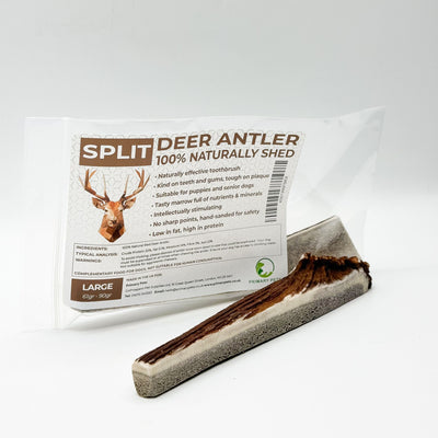 SPLIT Antlers for Dogs