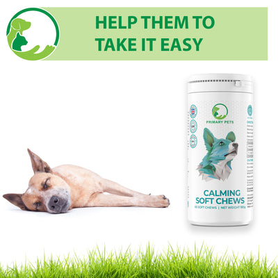 Calming Soft Chews for Dogs
