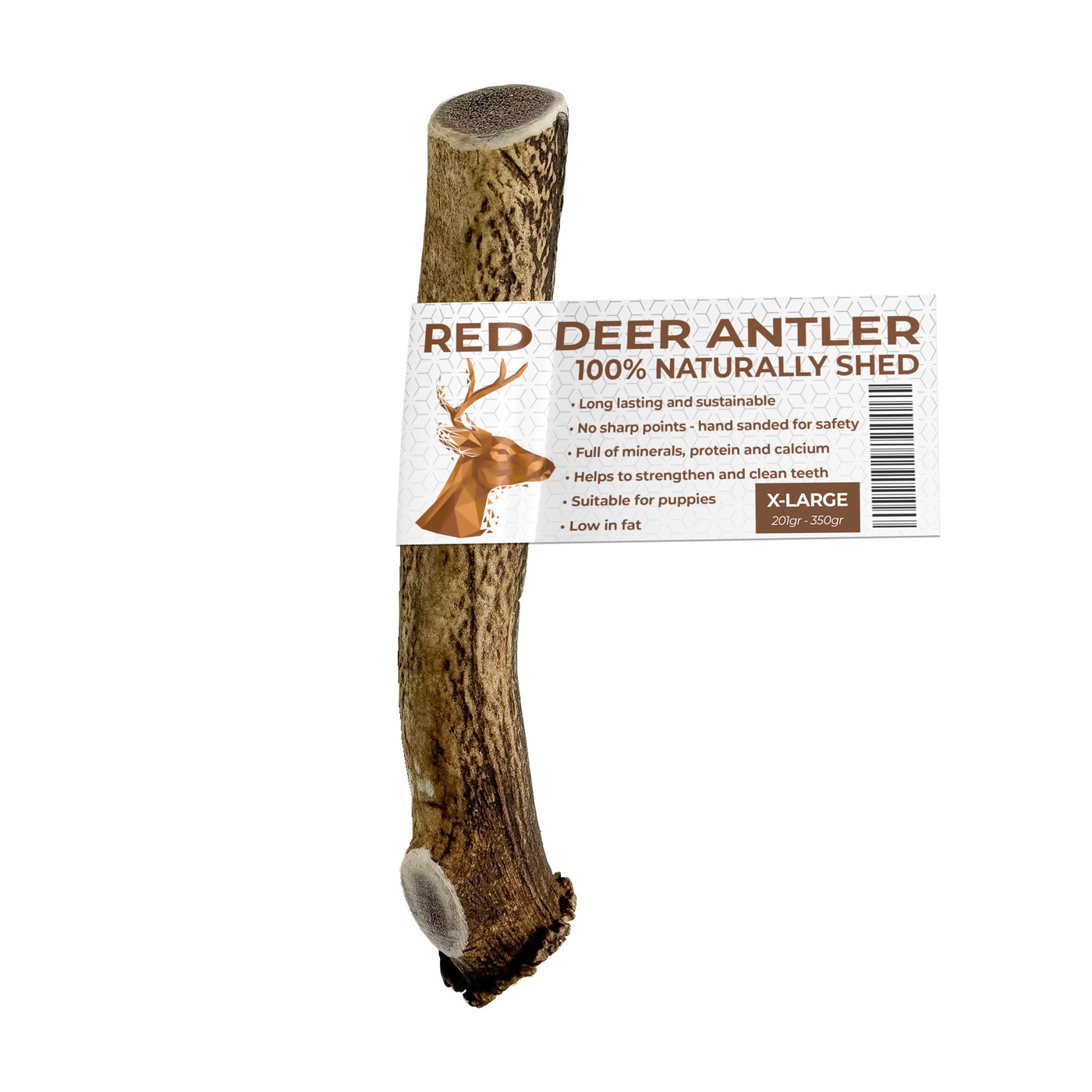 Antler Chew for Dogs | Extra Large