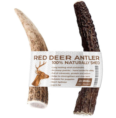 Antler Chew for Dogs & Puppies | 2 x Small