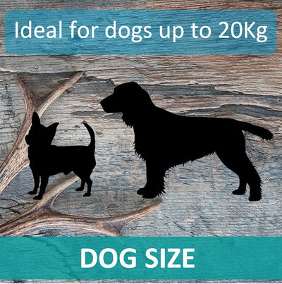 Antler Chew for Dogs | Extra Large