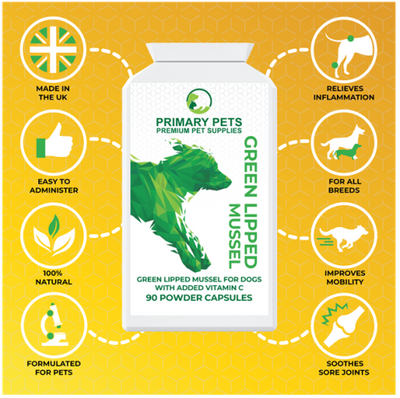 Anti Inflammatory