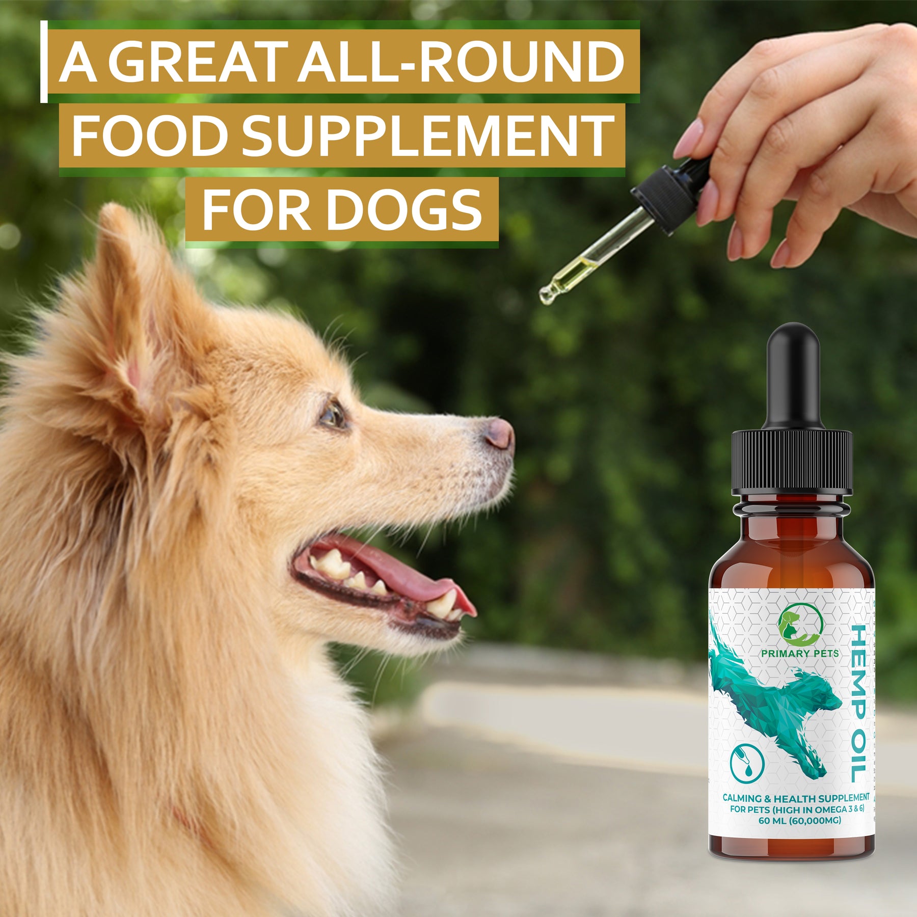 Hemp pills for dogs cheap