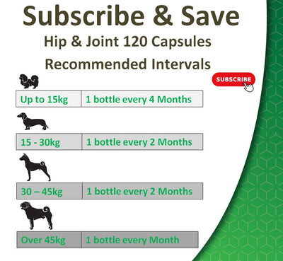 Hip and Joint Care Supplement for Dogs | 120 Tablets