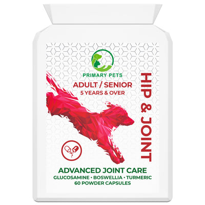 Hip and Joint Care Supplement for Dogs | 60 Tablets