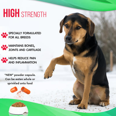 Hip and Joint Care Supplement for Dogs | 60 Tablets