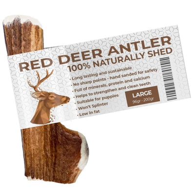 Antler Chew for Dogs | Large