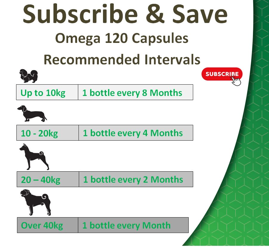 Omega Fish Oil for Dogs | 120 Softgel Capsules
