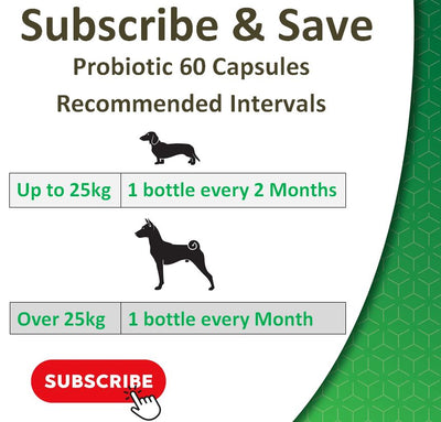 Probiotic Supplement for Dogs | 60 Powder Capsules