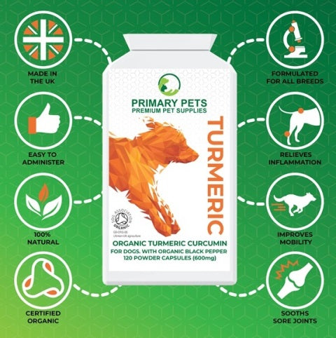 Golden paste for Dogs
