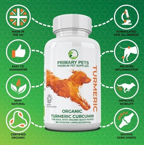 Golden paste for Dogs