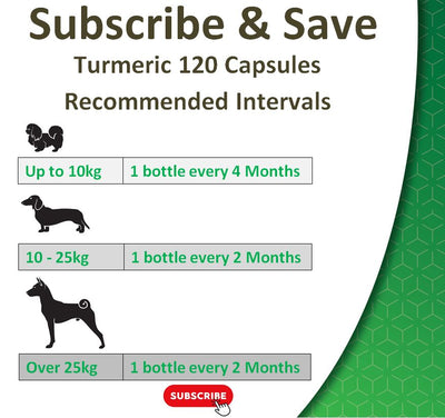 Organic Turmeric for Dogs | 120 Powder Capsules.