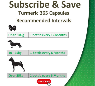 Organic Turmeric for Dogs | 365 Capsules